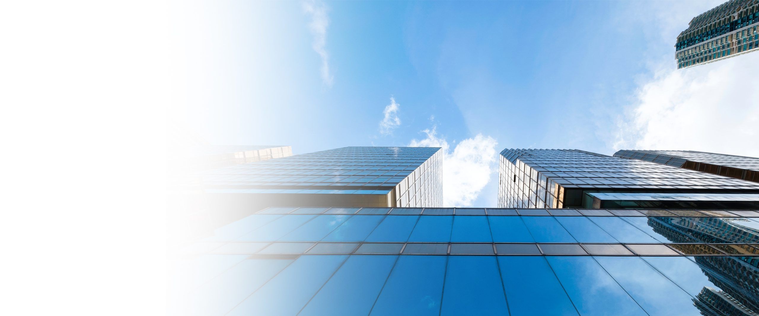 WealthBridge feature: WealthBridge Asset Management Limited